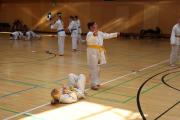 IMG7531