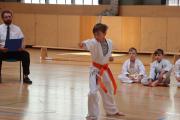 IMG8439