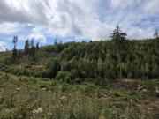 K160020260822140617