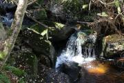 K1600IMG0669