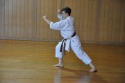 Shima Ha Shorin ryu Karate, Okinawa 2018