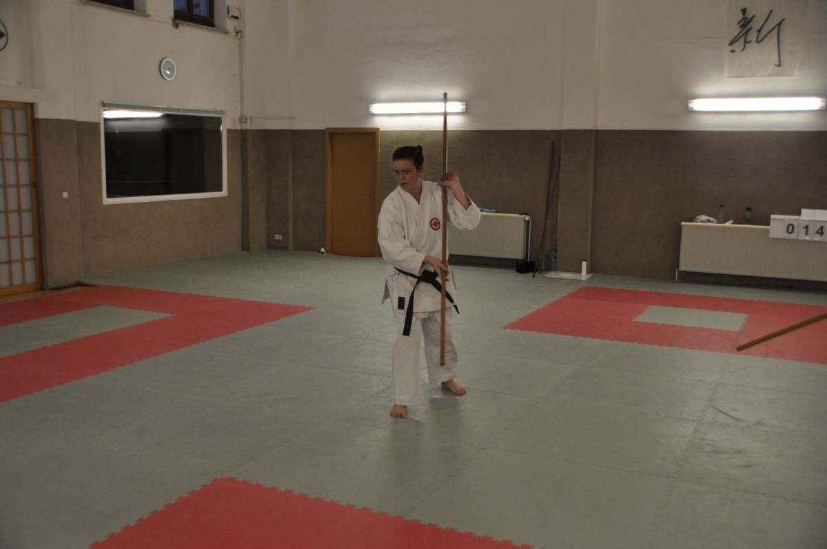 Yamanni ryu, yamane ryu, yamanne ryu
