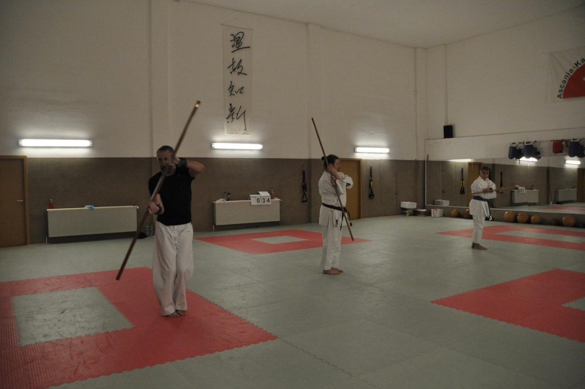 Yamanni Ryu Kobujutsu