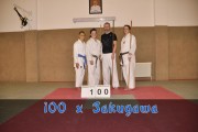 Sakugawa Training - Yamanni Chinen Ryu Kobujutsu