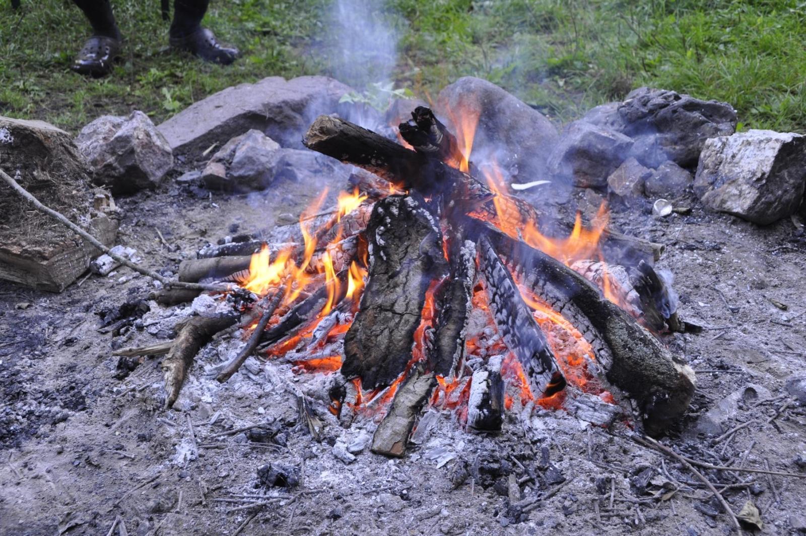 DSC0101