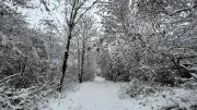 K1600IMG3879