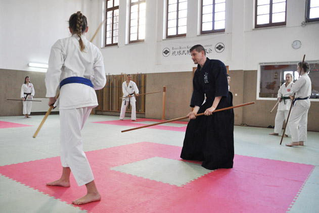 Yamanni ryu oder Karate? Warum nicht beides? Beide Kampfkünste ergänzen sich optimal.